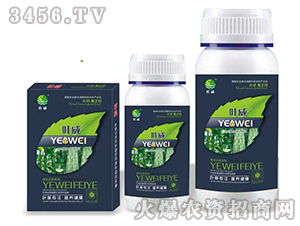 豆角专用含氨基酸水溶肥料